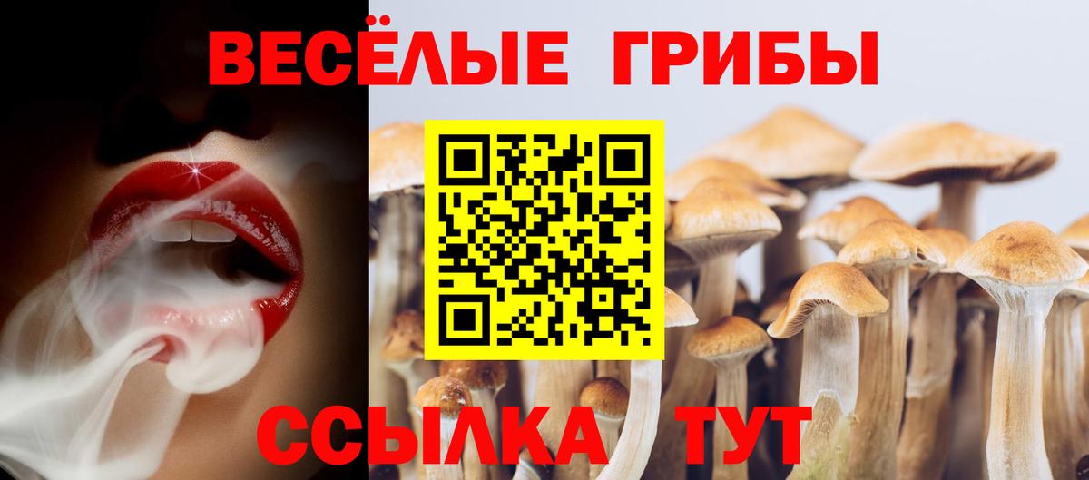 Псилоцибиновые грибы MAGIC MUSHROOMS  Вход с VPN  Петрозаводск  Галлюциногенные грибы Cubensis 